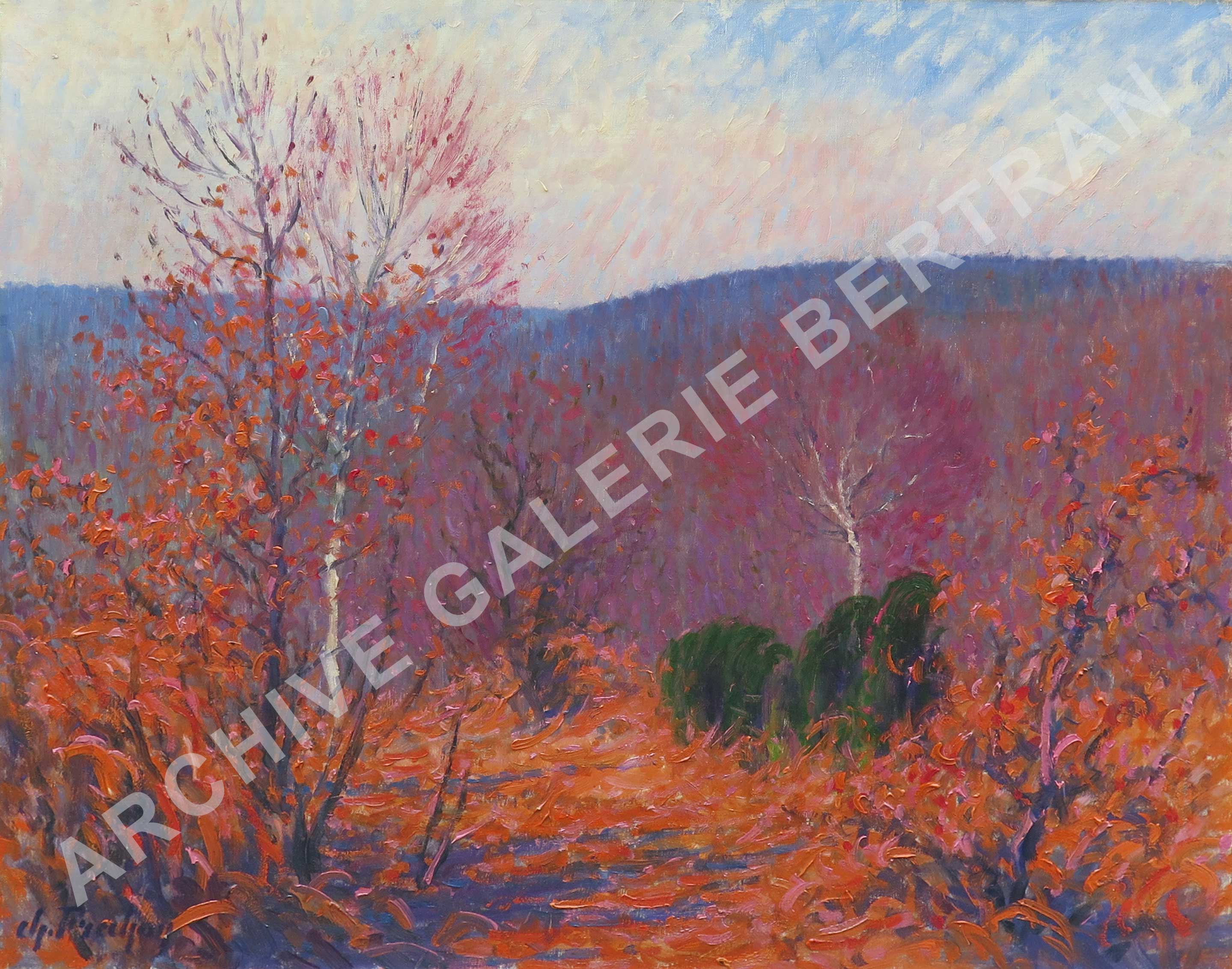 Forêt en automne