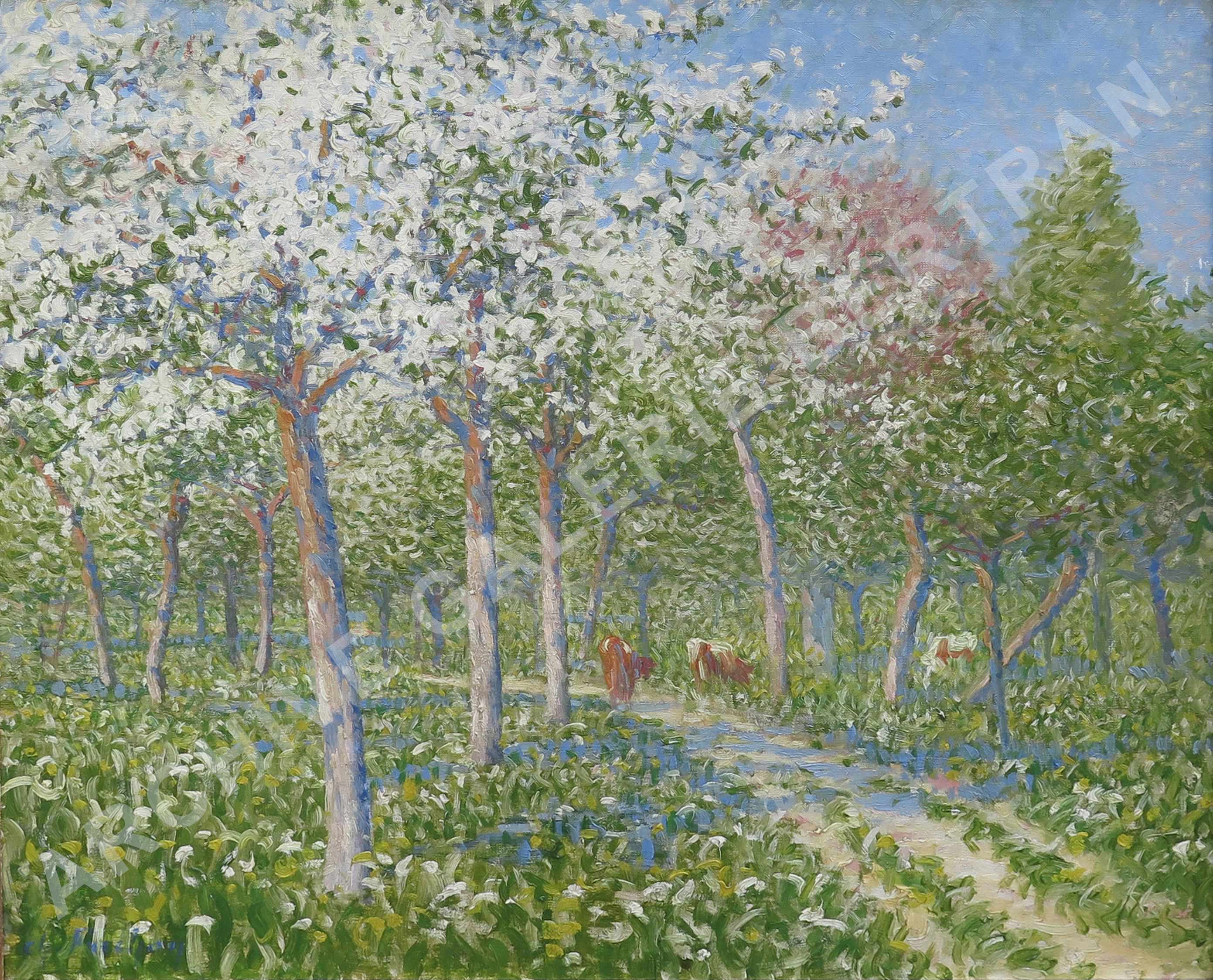 Pommiers en fleurs