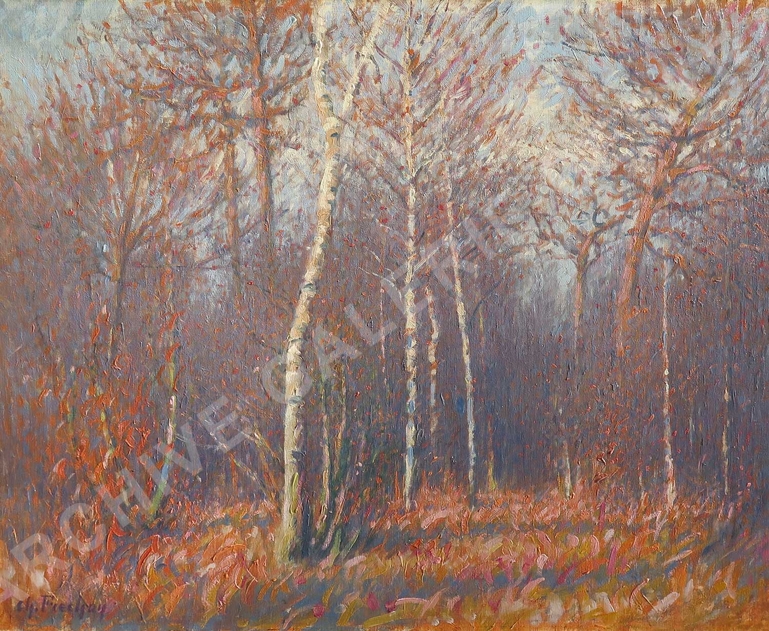 Forêt en automne