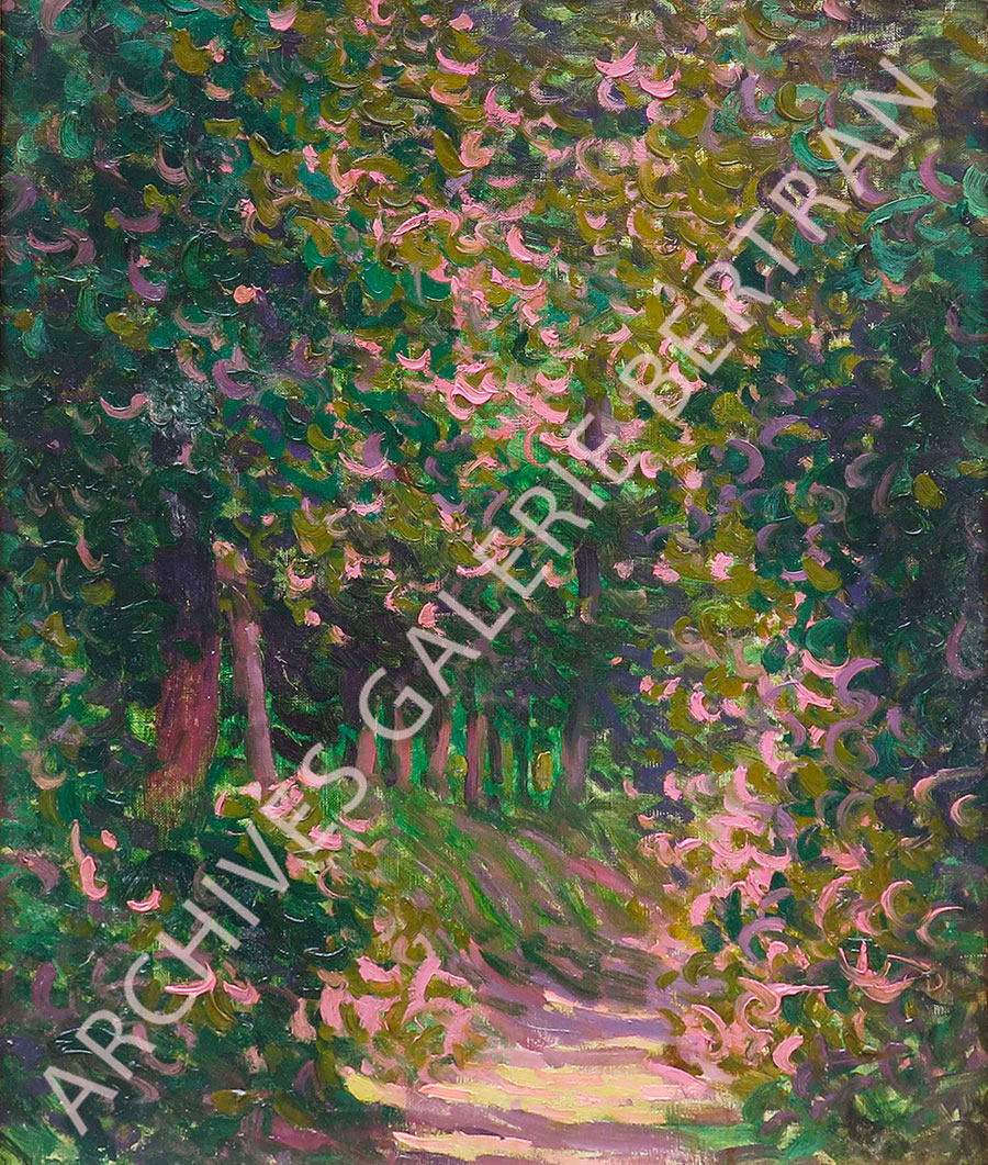 Allée en sous-bois