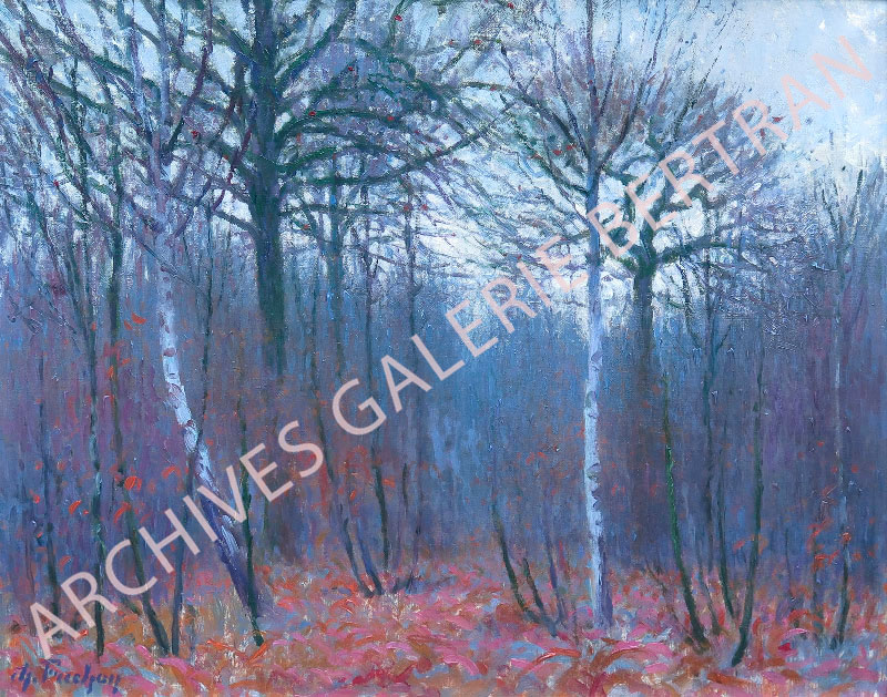 Automne dans la forêt