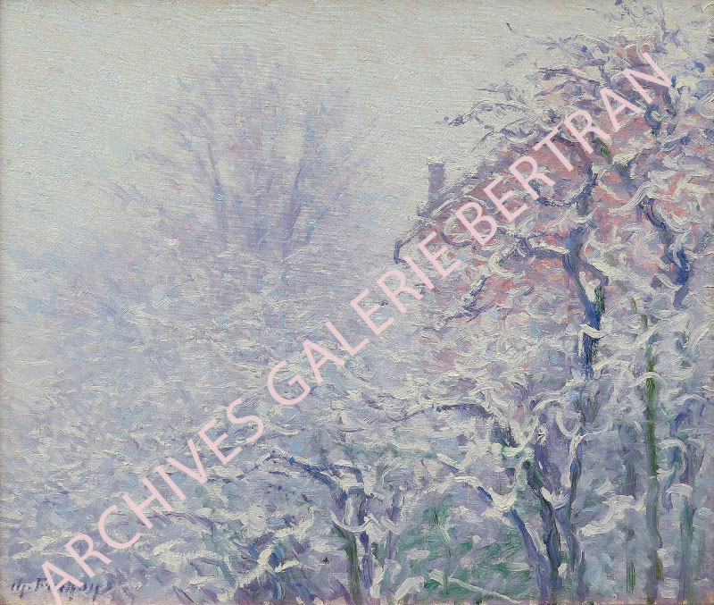 Neige et brouillard